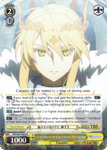 FGO/S87-E007 In the Name of the King of Storms, The Lion King