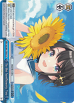 HOL/W91-TE055 To the Sunflowery You