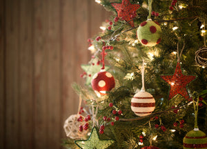 December 20th, 2021 Weekly Update - Christmas Week!