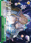 NIK/S117-E055R MIRACLE SNOW