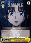 RKN/S115-E029S Guiding People, Kaoru Kamiya