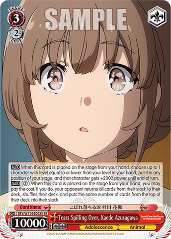 SBY/W114-E063S Tears Spilling Over, Kaede Azusagawa