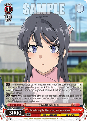 SBY/W114-E069S Introducing the Boyfriend, Mai Sakurajima