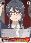 SBY/W114-E070S Incognito, Mai Sakurajima
