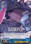 GGO/SE50-E47H Team Leader, M