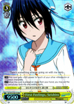 NK/W30-E001R First Feelings, Seishiro (Foil) - NISEKOI -False Love- English Weiss Schwarz Trading Card Game