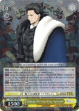 FGO/S87-E003 Aide to the Lion King, Agravain