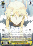 FGO/S87-E007 In the Name of the King of Storms, The Lion King