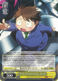 AW/S18-E016 The Boy Who Wanted Wings, Haruyuki - Accel World English Weiss Schwarz Trading Card Game