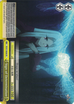 FZ/S17-E028 Sign of Determination - Fate/Zero English Weiss Schwarz Trading Card Game
