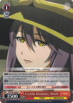 GBS/S63-E039 A Little Kindness, Witch - Goblin Slayer English Weiss Schwarz Trading Card Game