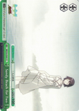 NM/S24-E043 Sandy Beach for Two - NISEMONOGATARI English Weiss Schwarz Trading Card Game