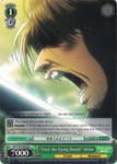 AOT/S50-E045b "Until the Dying Breath" Miche - Attack On Titan Vol.2 English Weiss Schwarz Trading Card Game