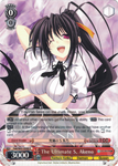 Fdd/W65-E048 The Ultimate S, Akeno - Fujimi Fantasia Bunko English Weiss Schwarz Trading Card Game