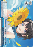 HOL/W91-TE055 To the Sunflowery You