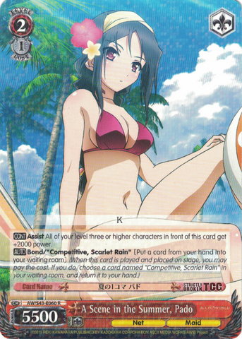 AW/S43-E060 A Scene in the Summer, Pado - Accel World Infinite Burst English Weiss Schwarz Trading Card Game