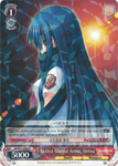 AB/W31-E064 Skilled Martial Artist, Shiina - Angel Beats! Re:Edit English Weiss Schwarz Trading Card Game