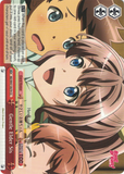 BD/W47-E079	Gentle Elder Sis - Bang Dream Vol.1 English Weiss Schwarz Trading Card Game