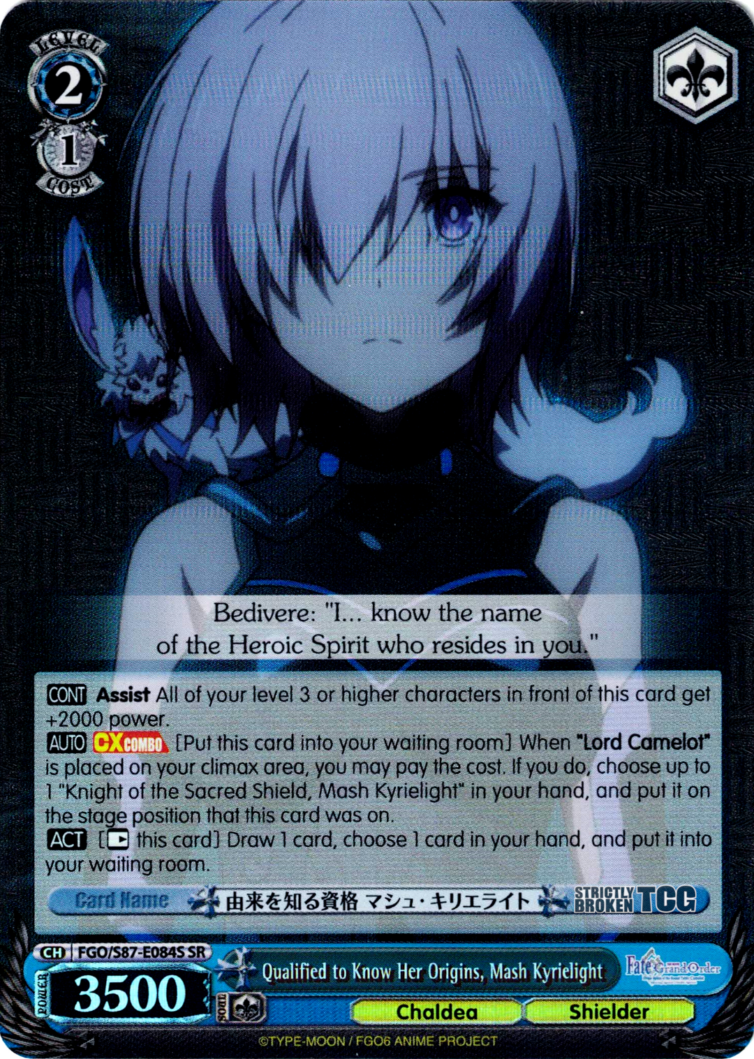 Fate/Grand Order Foils (Complete Inventory) – Strictly