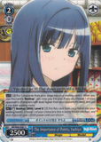 MR/W80-E087 The Importance of Points, Yachiyo - TV Anime "Magia Record: Puella Magi Madoka Magica Side Story" English Weiss Schwarz Trading Card Game