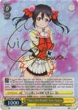 LL/EN-W01-009SP "That's Our Miracle" Nico Yazawa (Foil) - Love Live! DX English Weiss Schwarz Trading Card Game
