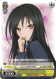 AW/S18-E110 Jealous for the First Time, Kuroyukihime - Accel World English Weiss Schwarz Trading Card Game