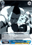 ATLA/WX04-T15 Sokka: First Love