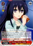 DAL/W99-E061 Taking a Break, Tohka