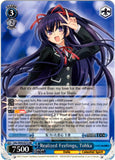 DAL/W99-E072 Realized Feelings, Tohka