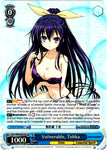 DAL/W99-E074S Vulnerable, Tohka