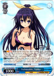 DAL/W99-E074 Vulnerable, Tohka