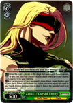 GGST/SX06-036S Zato=1: Cursed Entity