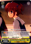 GRI/S72-E005 Afterschool Sunset, Makina