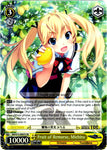 GRI/S72-E007S Fruit of Remorse, Michiru