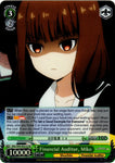 KGL/S95-E031S Financial Auditor, Miko