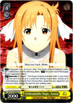 SAO/S100-E004S Unbreakable Hope, Asuna