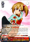 SAO/S100-E060 Like a Younger Sister, Silica