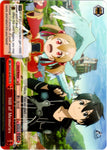 SAO/S100-E073 Hill of Memories