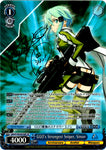 SAO/S100-E076SP GGO's Strongest Sniper, Sinon