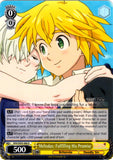 SDS/SX05-006 Meliodas: Fulfilling His Promise