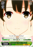 SHS/W56-E034 Unnecessary Concern, Megumi