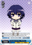 SHS/W56-E105 Nendoroid Plus, Michiru