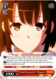 SHS/W56-TE13 Fated Encounter? Megumi