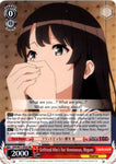 SHS/W71-E055 Girlfriend Who's Not Monotonous, Megumi