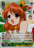 SY/WP02-E02S Reindeer, Mikuru