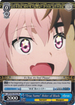 APO/S53-TE13 "True Name" Rider of Black - Fate/Apocrypha Trial Deck English Weiss Schwarz Trading Card Game