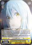 TSK/S101-E004 A 3.14% Hope, Rimuru